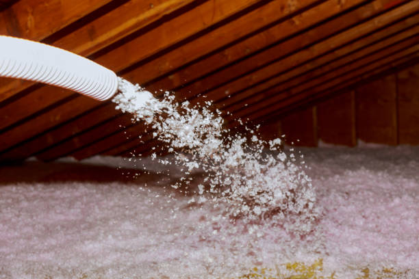 Best Attic Insulation Installation  in La Feria, TX